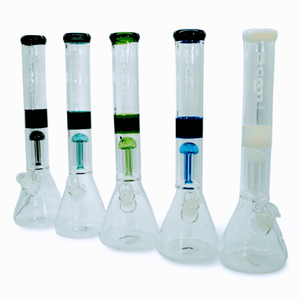 PJ020 (5 Colours)
